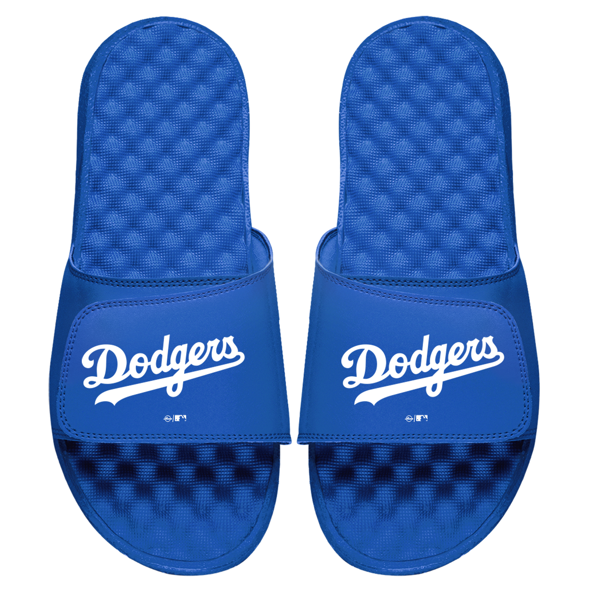 Los Angeles Dodgers Wordmark Slides 2