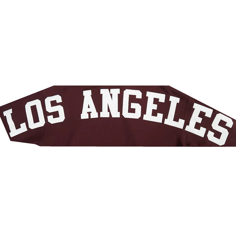 Pro Standard La Dodgers Wingspan Drop Shoulder Hoodie - Wine 4