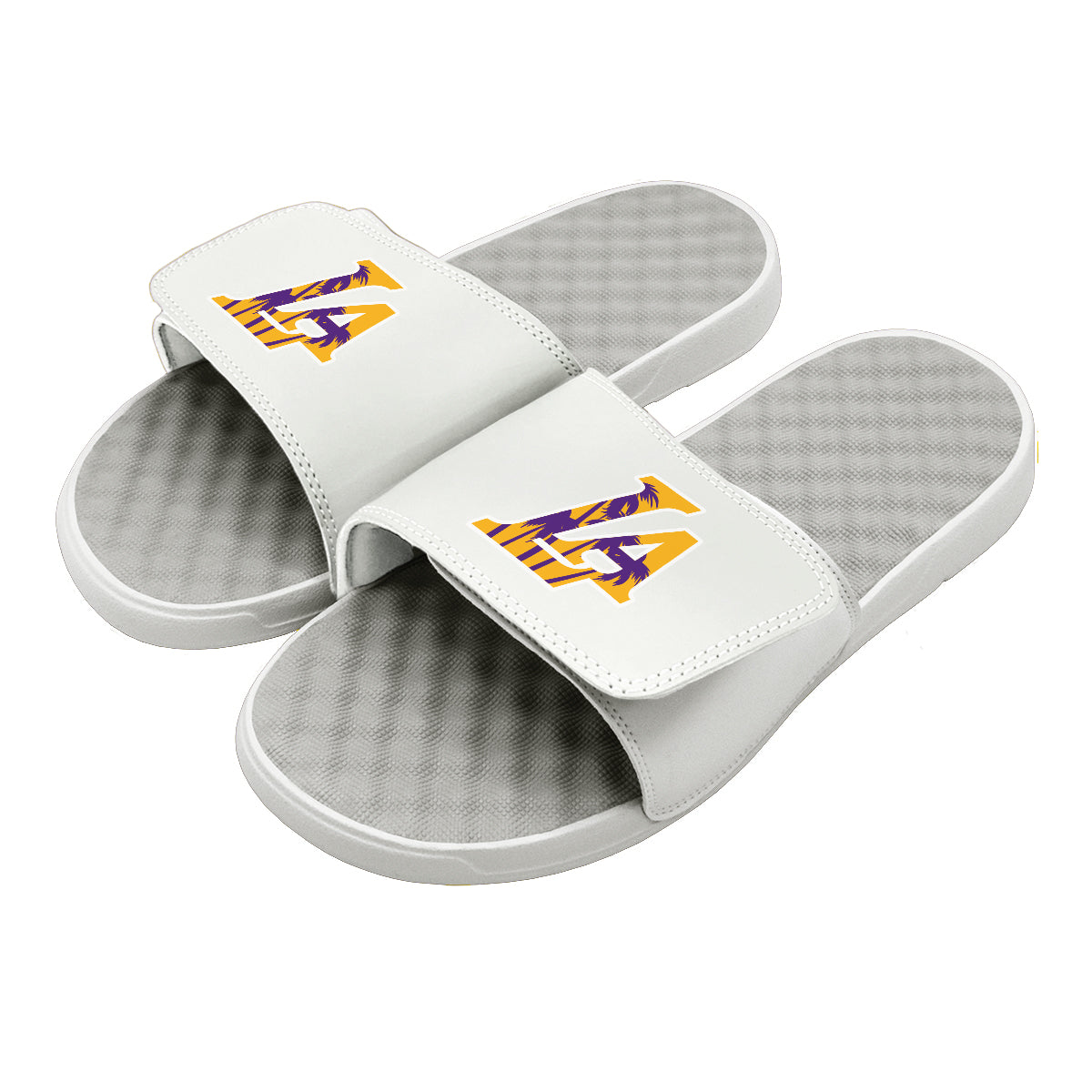 LA Lakers: Sunset Blvd Slides 3