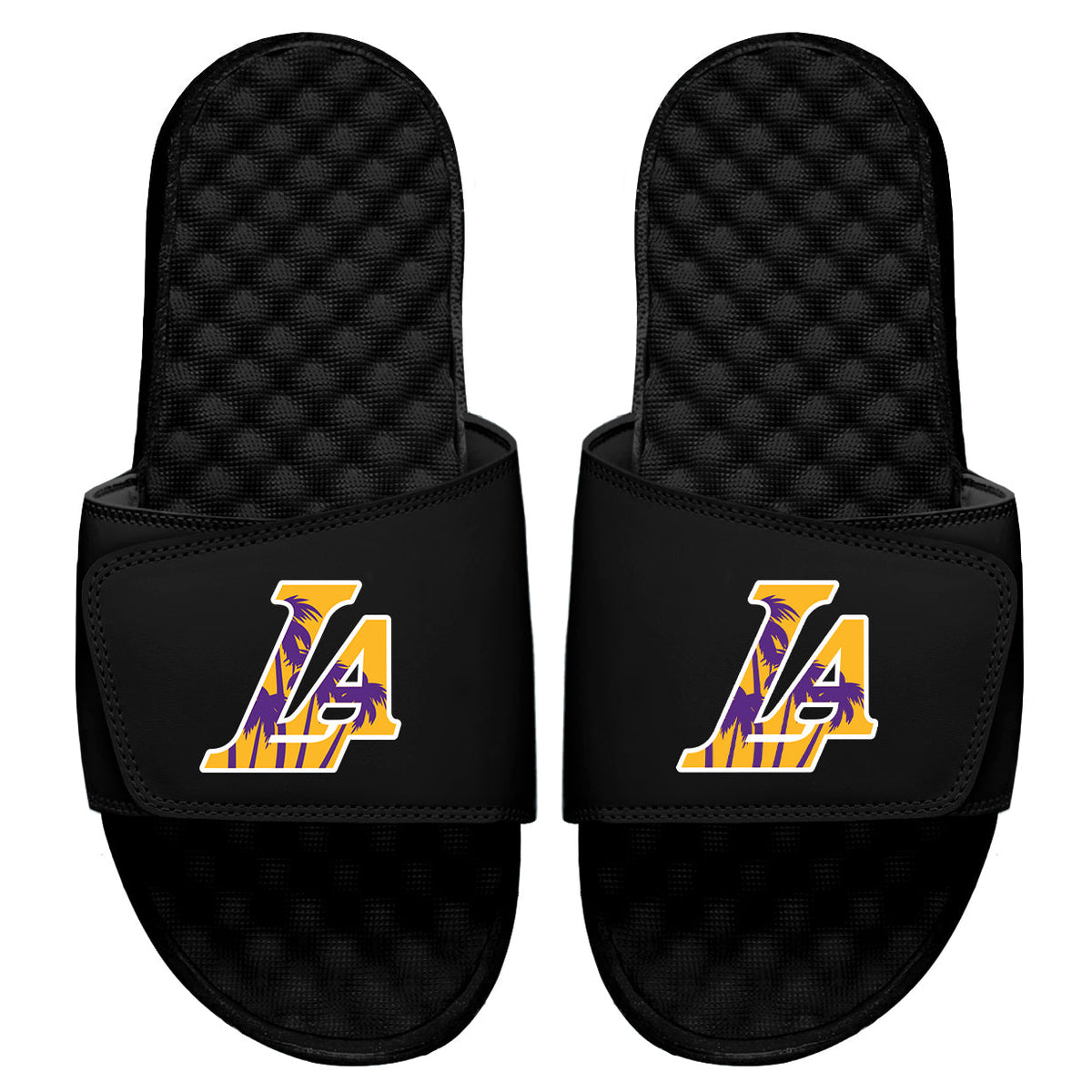 LA Lakers: Sunset Blvd Slides 5