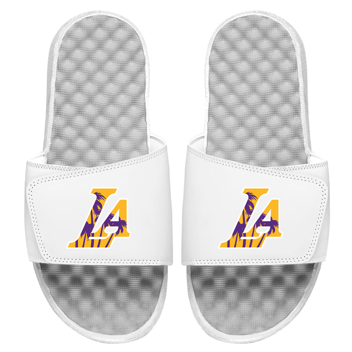 LA Lakers: Sunset Blvd Slides 6