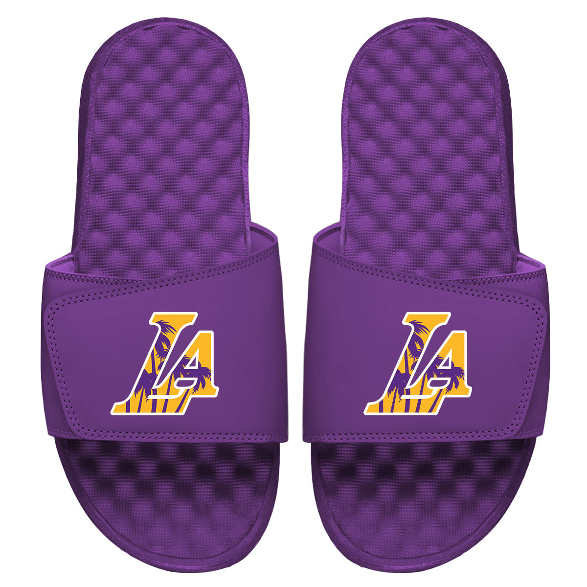LA Lakers: Sunset Blvd Slides 4