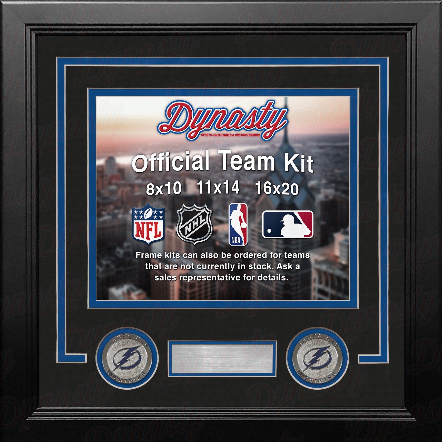 Tampa Bay Lightning Custom NHL Hockey 16x20 Picture Frame Kit (Multiple Colors) 3
