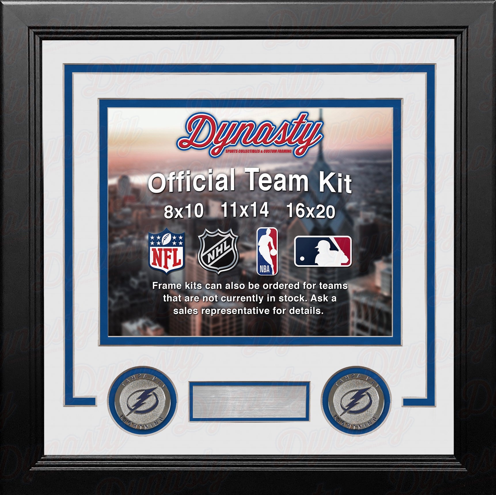 Tampa Bay Lightning Custom NHL Hockey 11x14 Picture Frame Kit (Multiple Colors)
