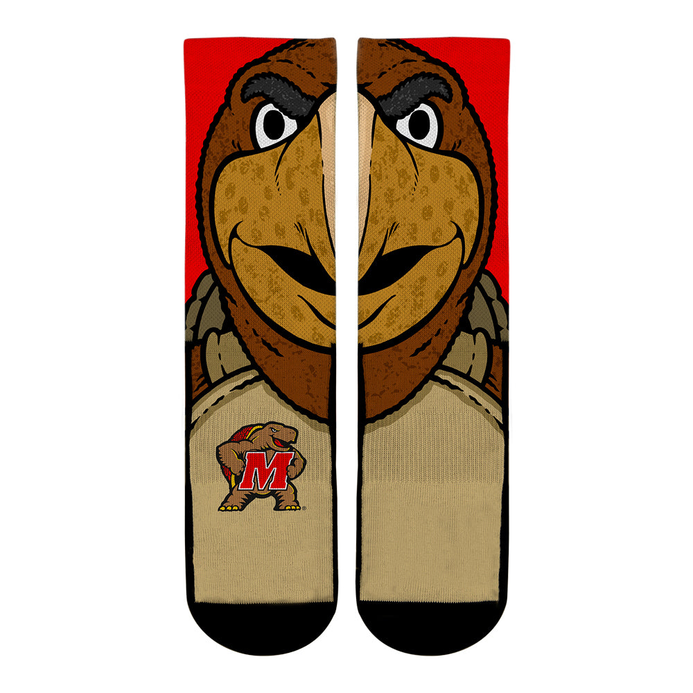 Maryland Terrapins - Testudo Mascot | Rock 'Em Socks 1