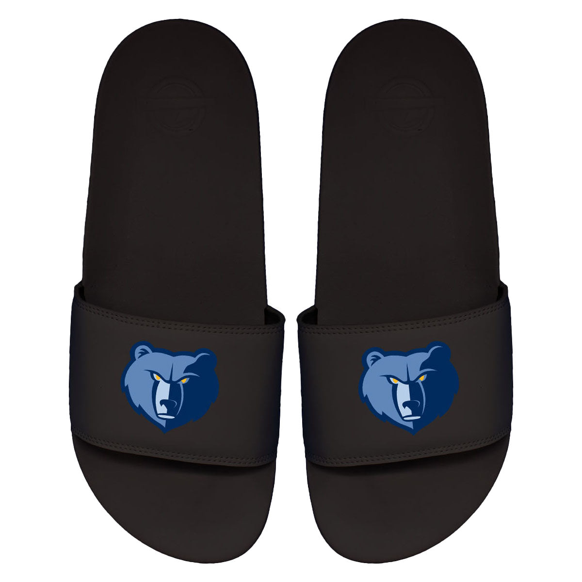 Grizzlies Primary Motto Slides 1