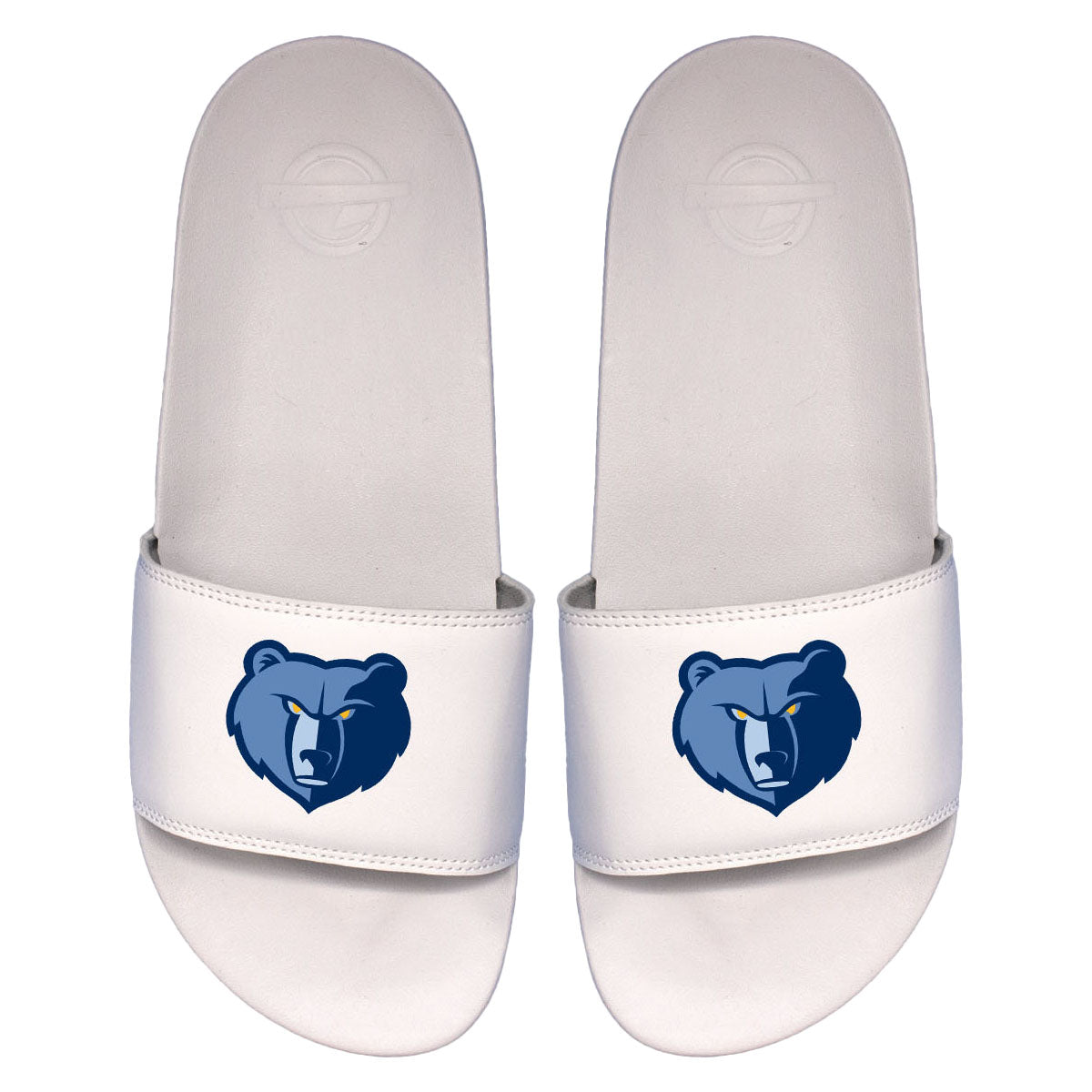 Grizzlies Primary Motto Slides 2