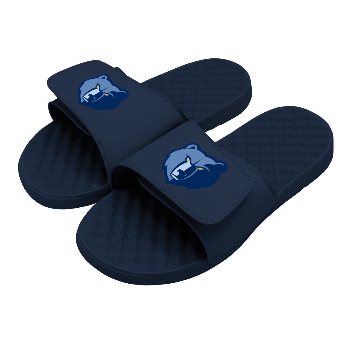 Memphis Grizzlies Primary Slides 1