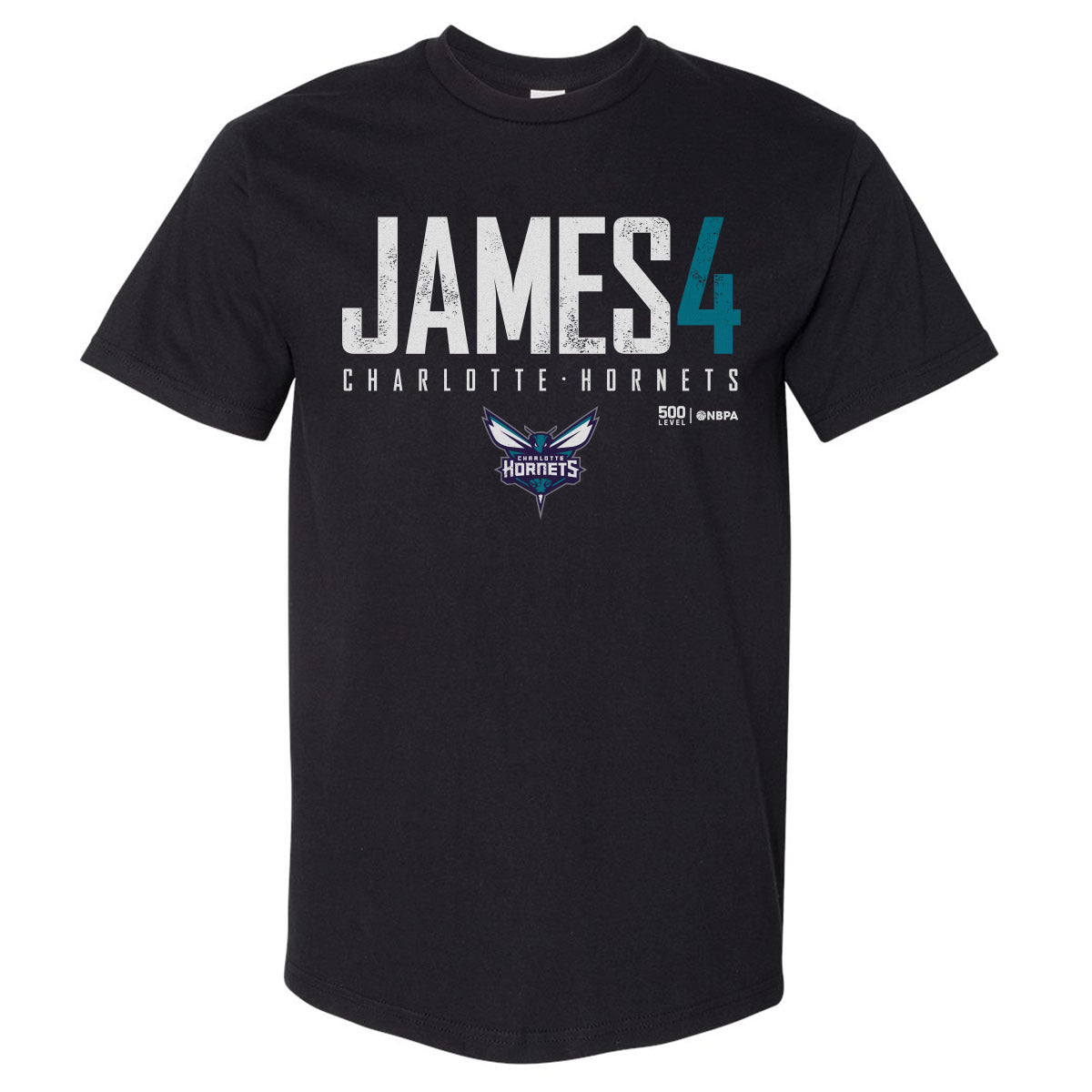 Sion James Charlotte Hornets Elite