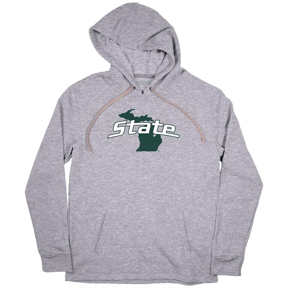 Michigan State Logo 2