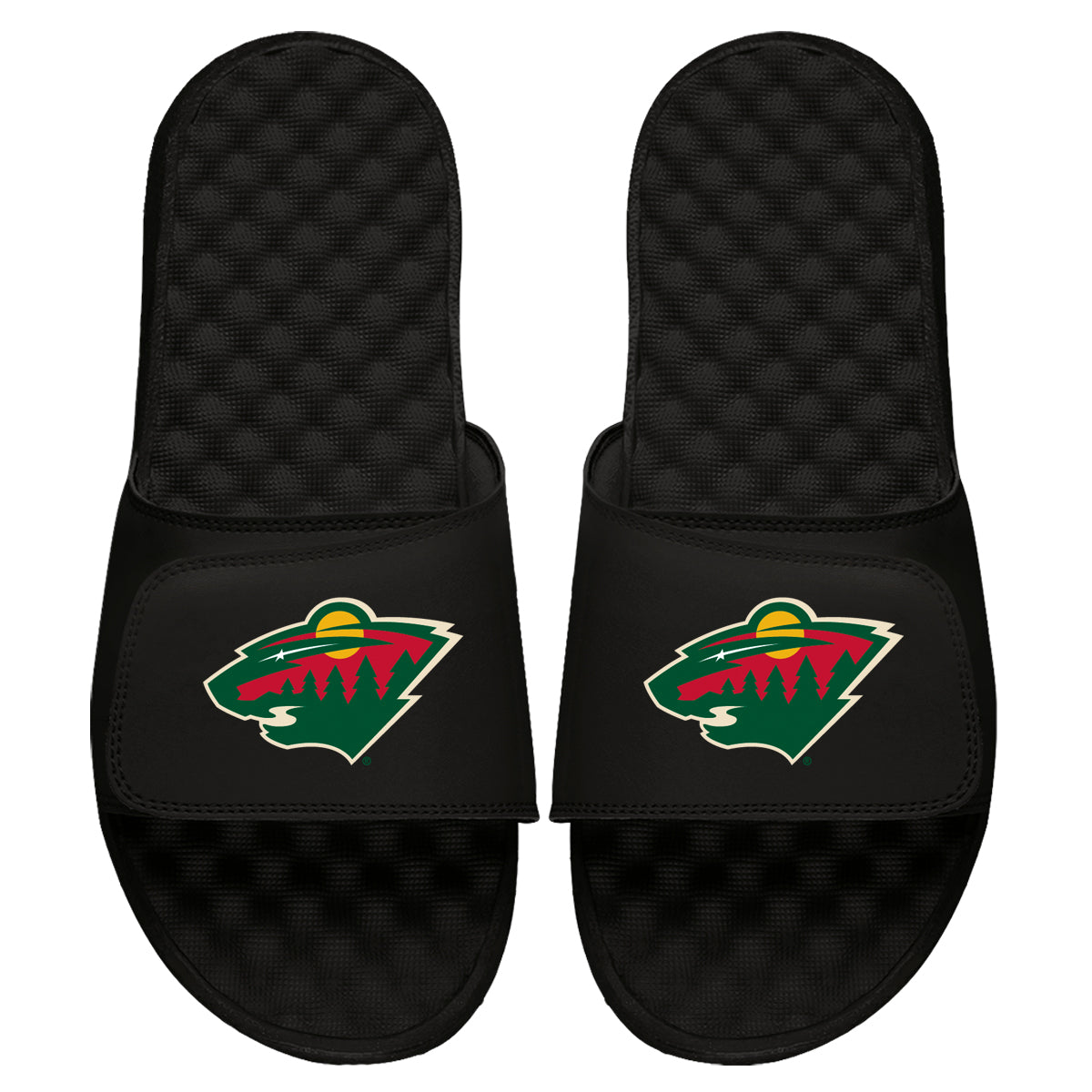 Minnesota Wild Primary Slides 3