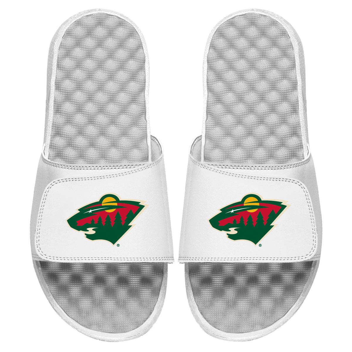 Minnesota Wild Primary Slides 4