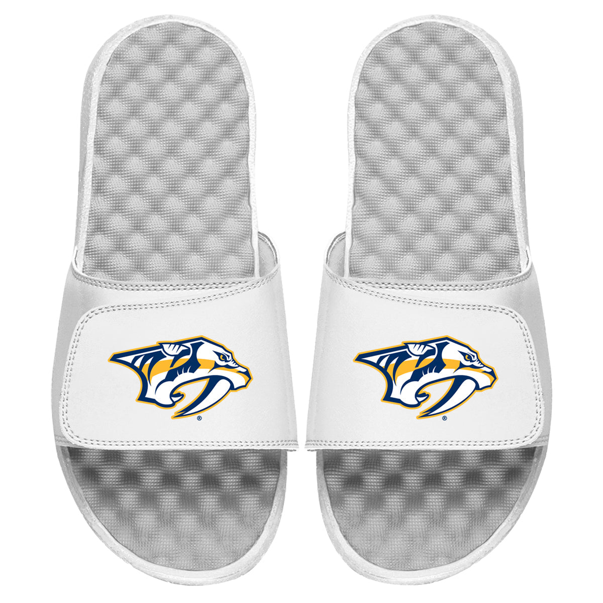 Nashville Predators Primary Slides 3