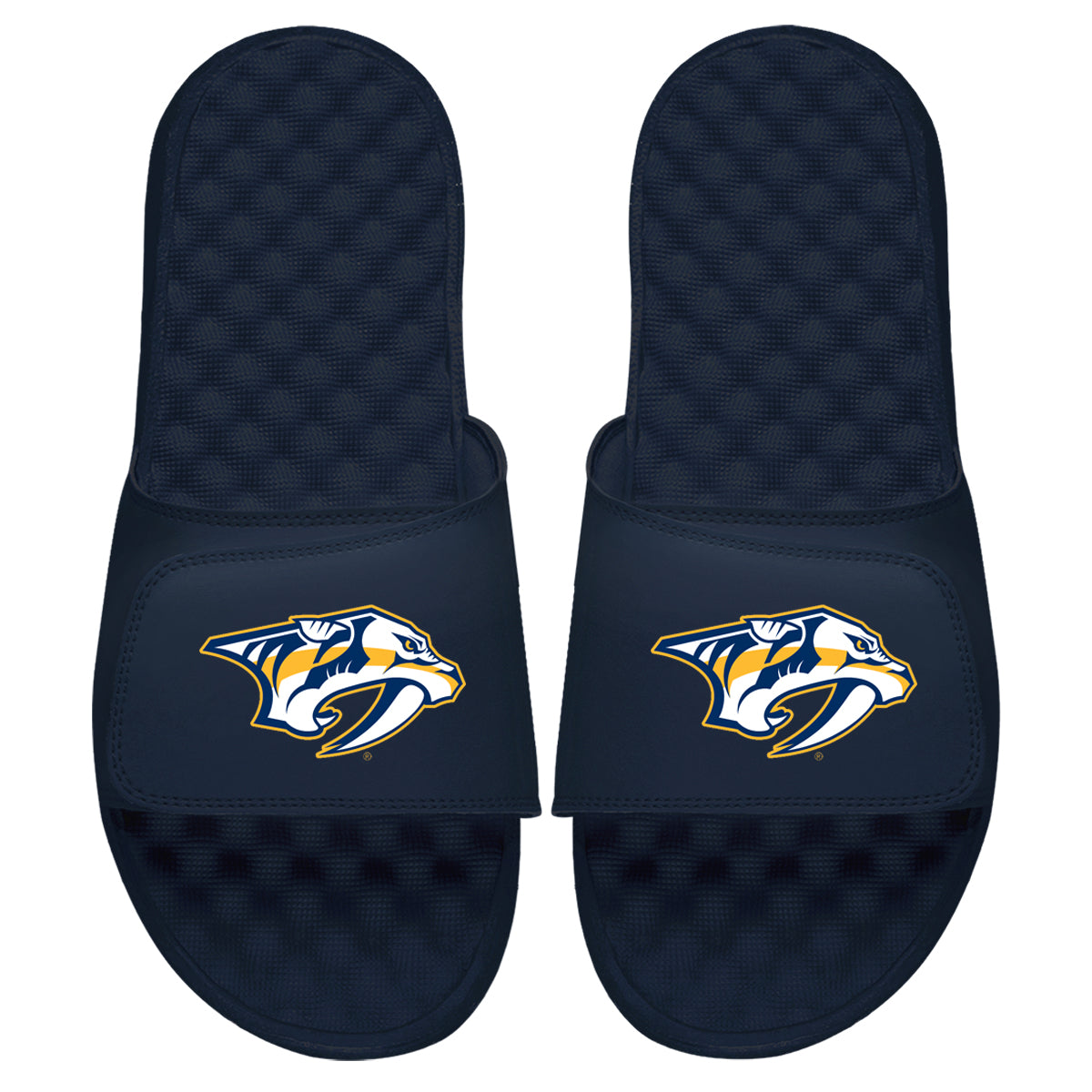 Nashville Predators Primary Slides 4