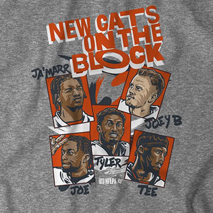 New Cats On the Block 5