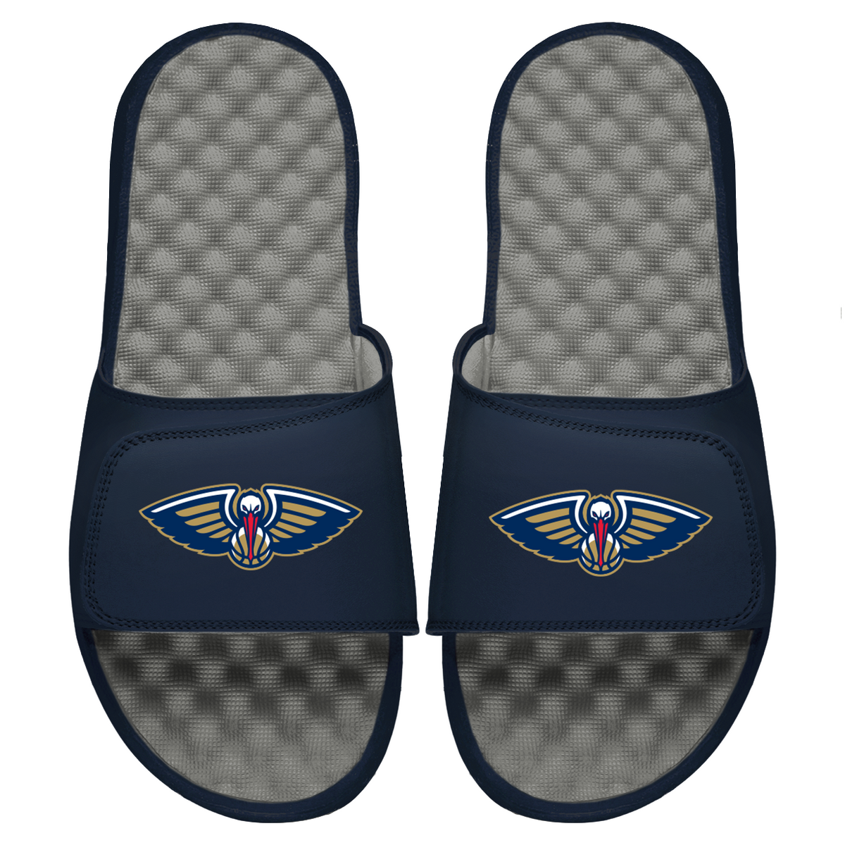 Pelicans Primary Logo Slides 2