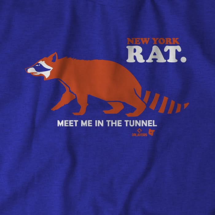 New York Raccoon Rat 4