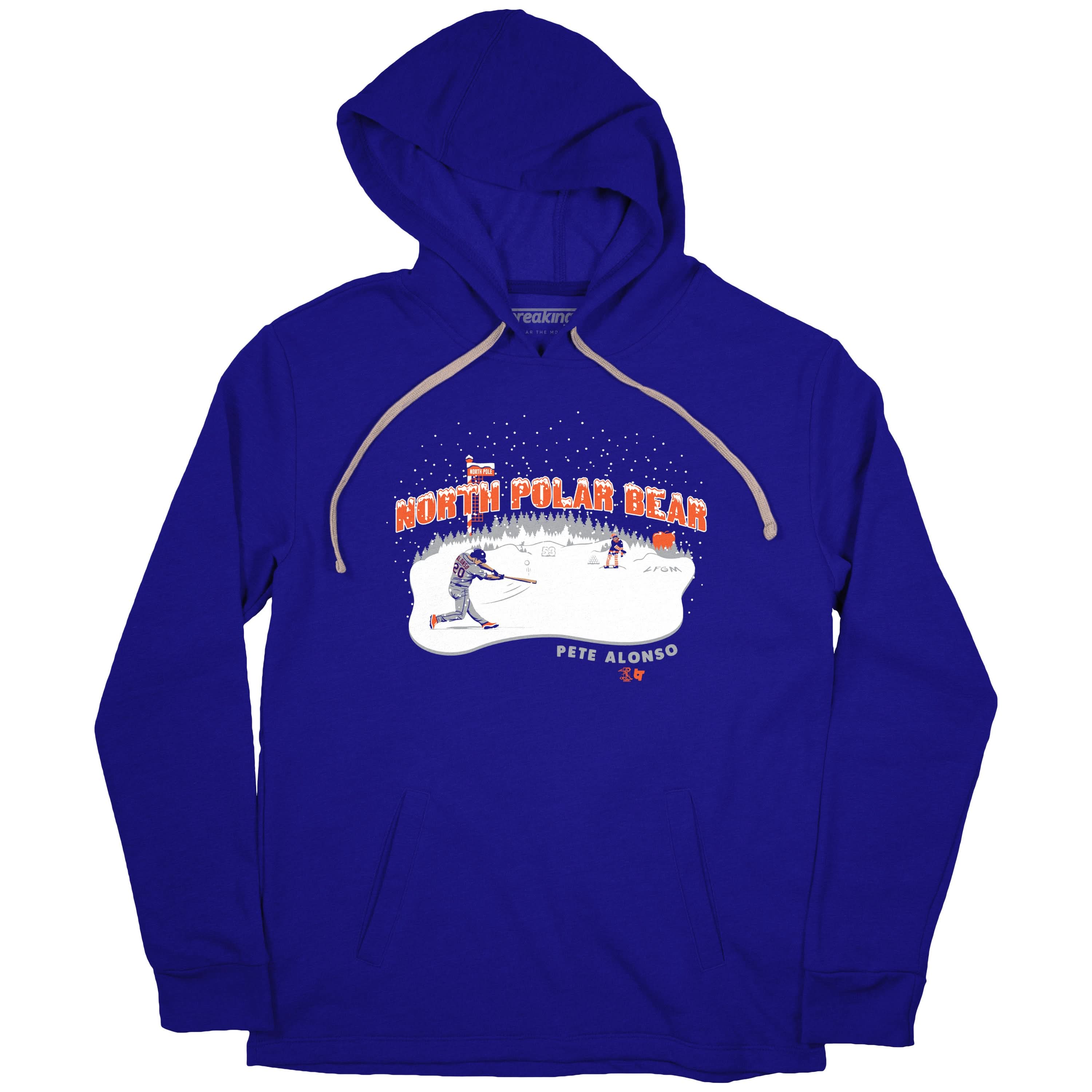 North Polar Bear 2
