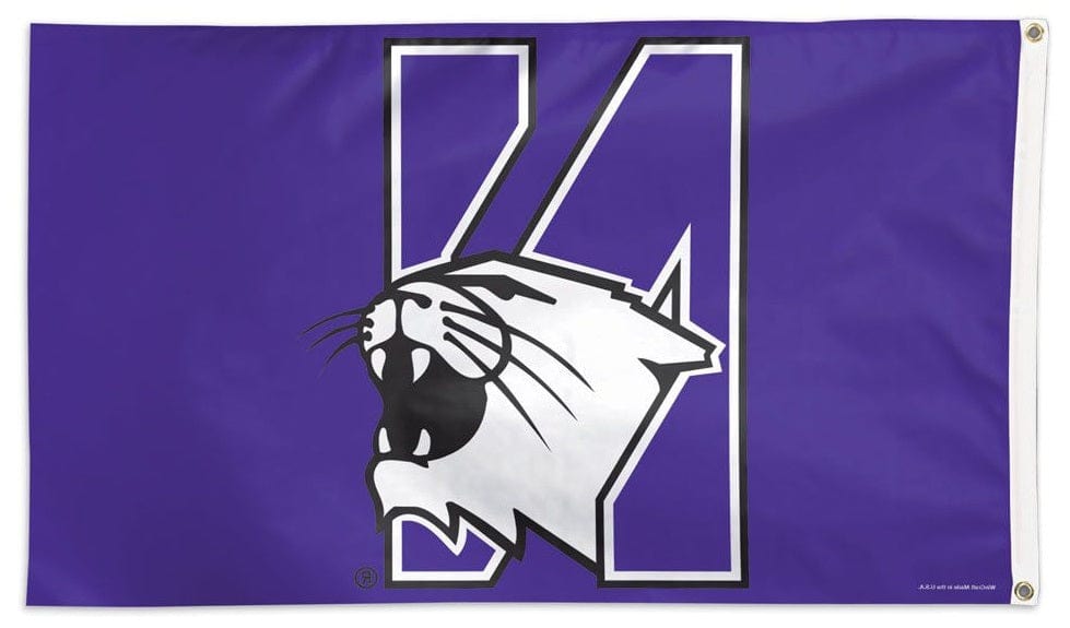 Northwestern Wildcats Logo Flag 3x5 Purple