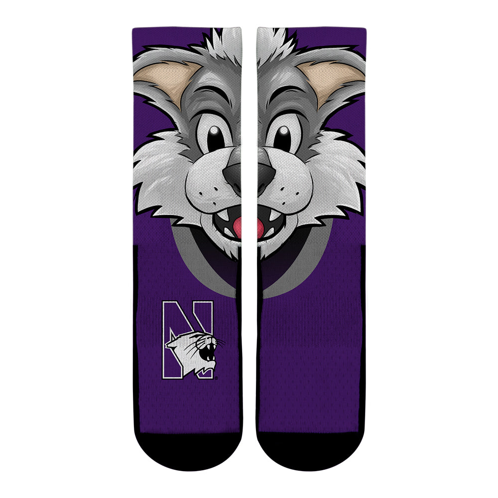 Northwestern Wildcats - Willie the Wildcat Mascot | Rock 'Em Socks