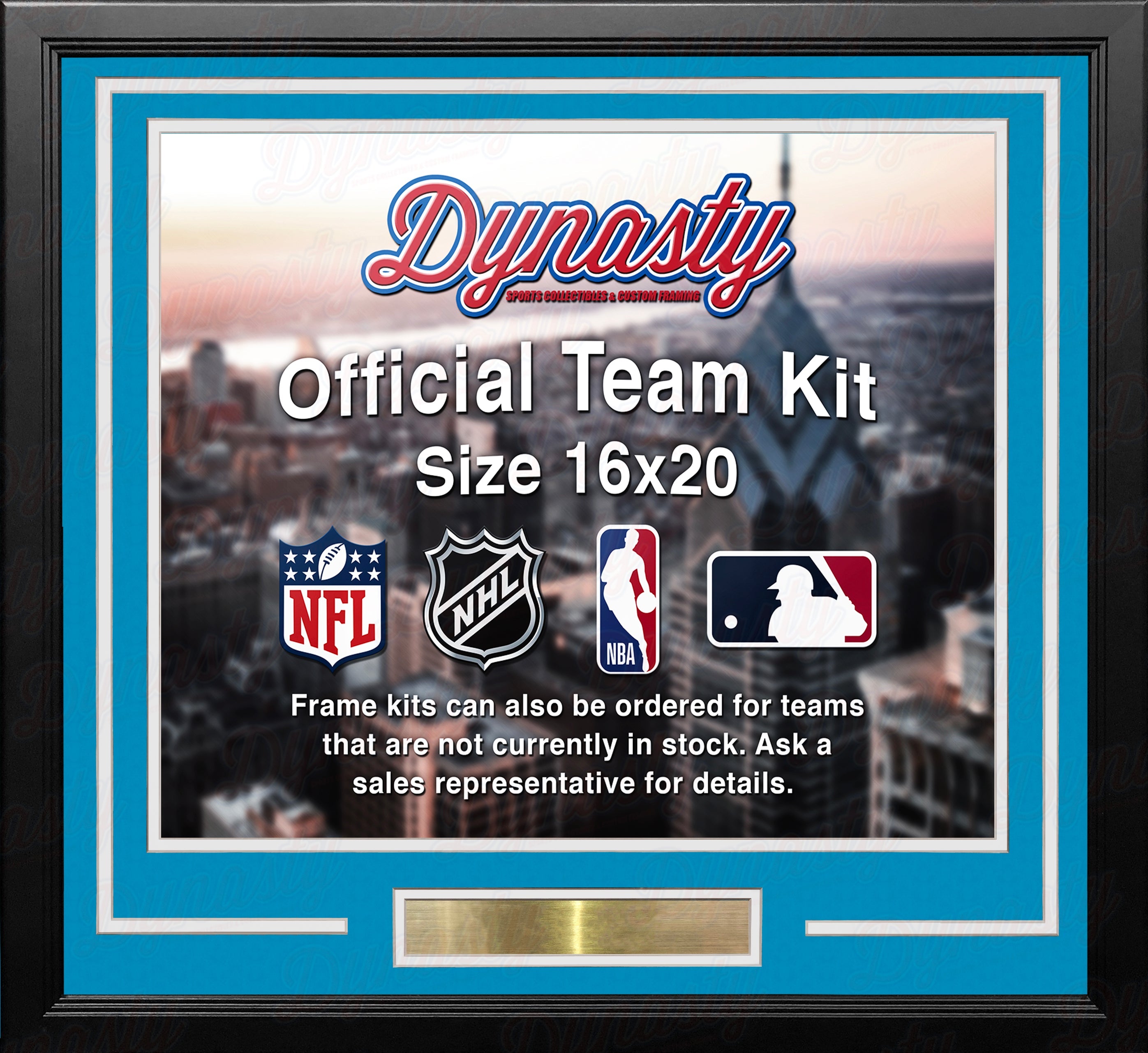 Denver Nuggets Throwback Custom NBA Basketball 16x20 Picture Frame Kit (Multiple Colors) 2