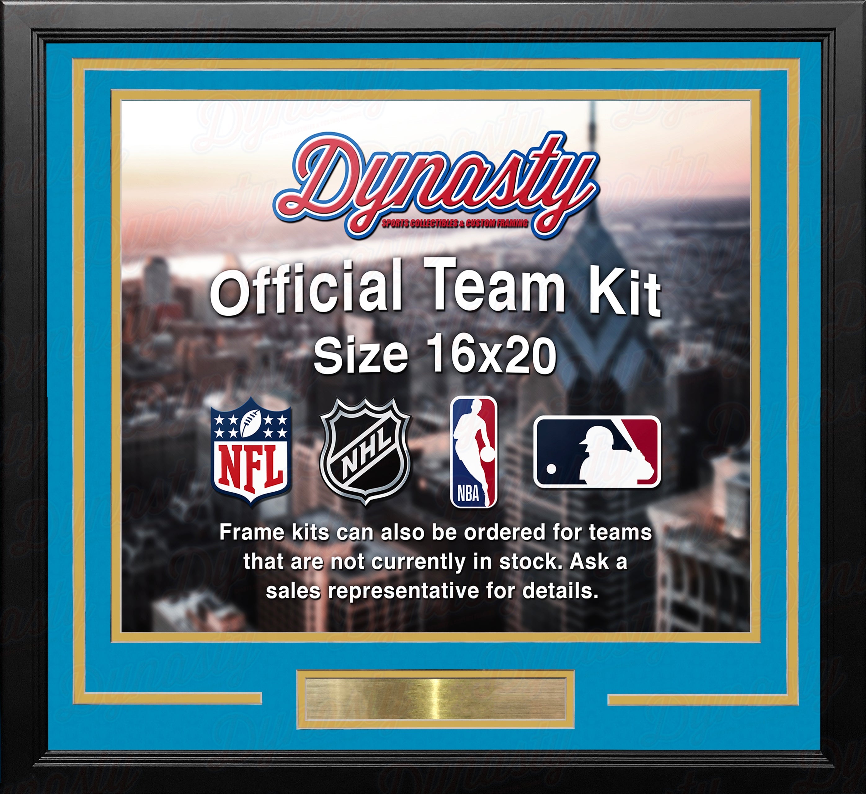 Denver Nuggets Throwback Custom NBA Basketball 16x20 Picture Frame Kit (Multiple Colors) 1