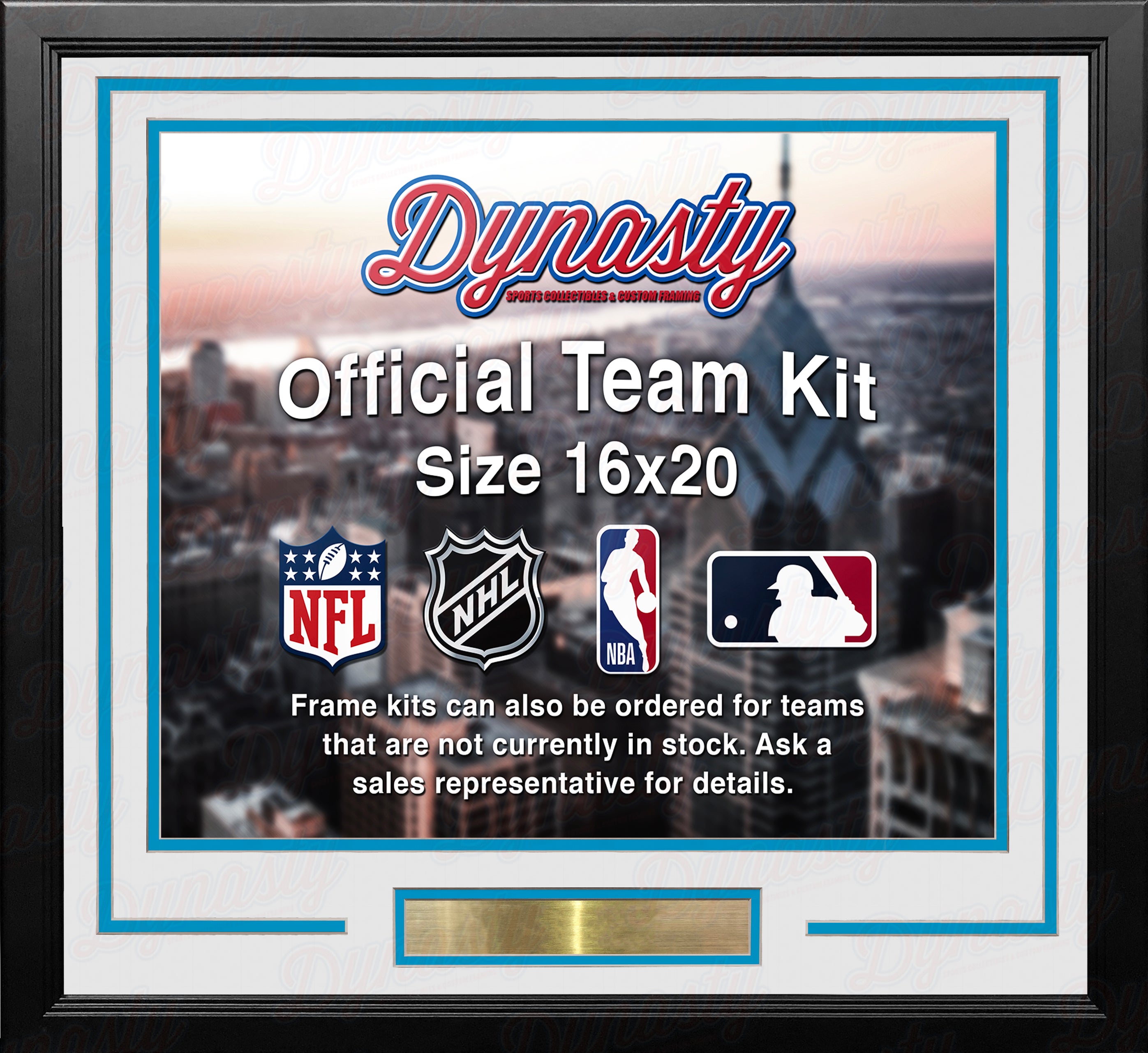 Denver Nuggets Throwback Custom NBA Basketball 16x20 Picture Frame Kit (Multiple Colors) 3