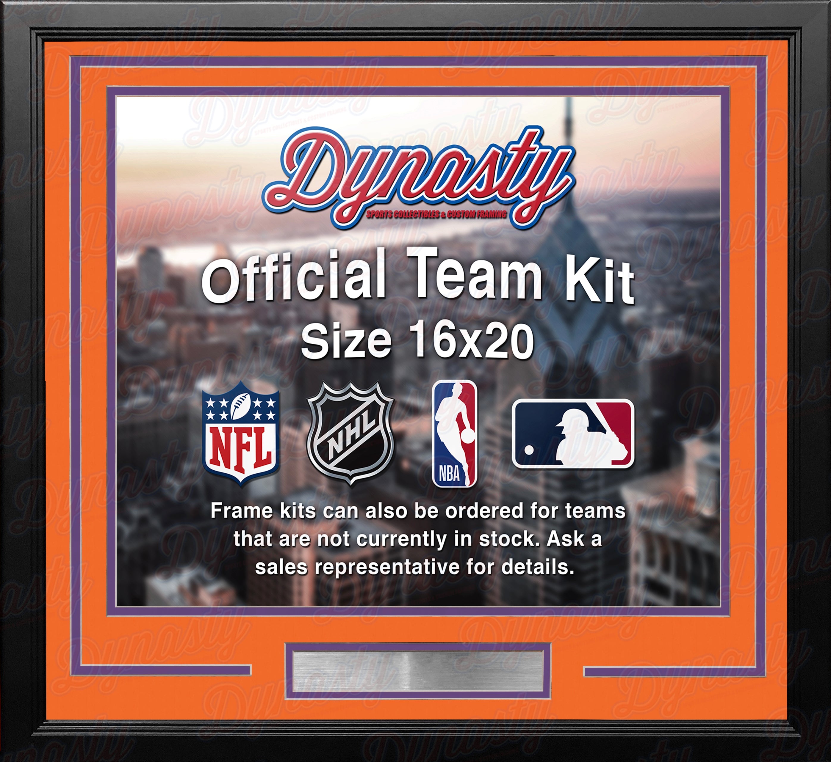 Phoenix Suns Custom NBA Basketball 16x20 Picture Frame Kit (Multiple Colors) 2