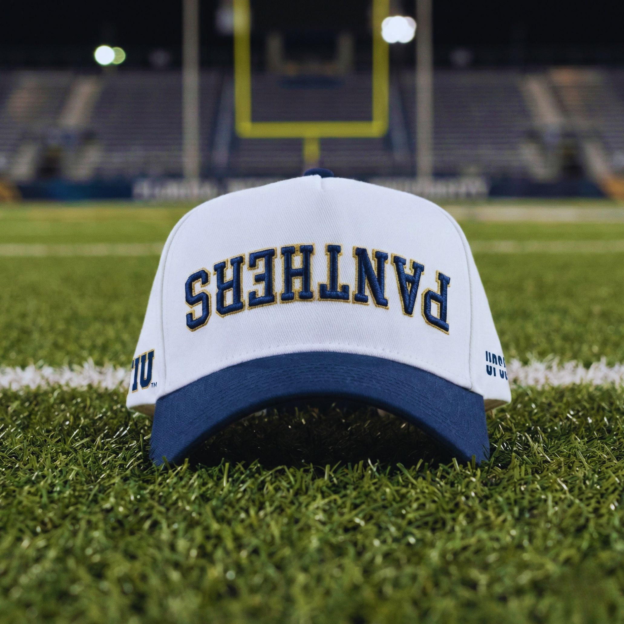 FIU Panthers Hat 4