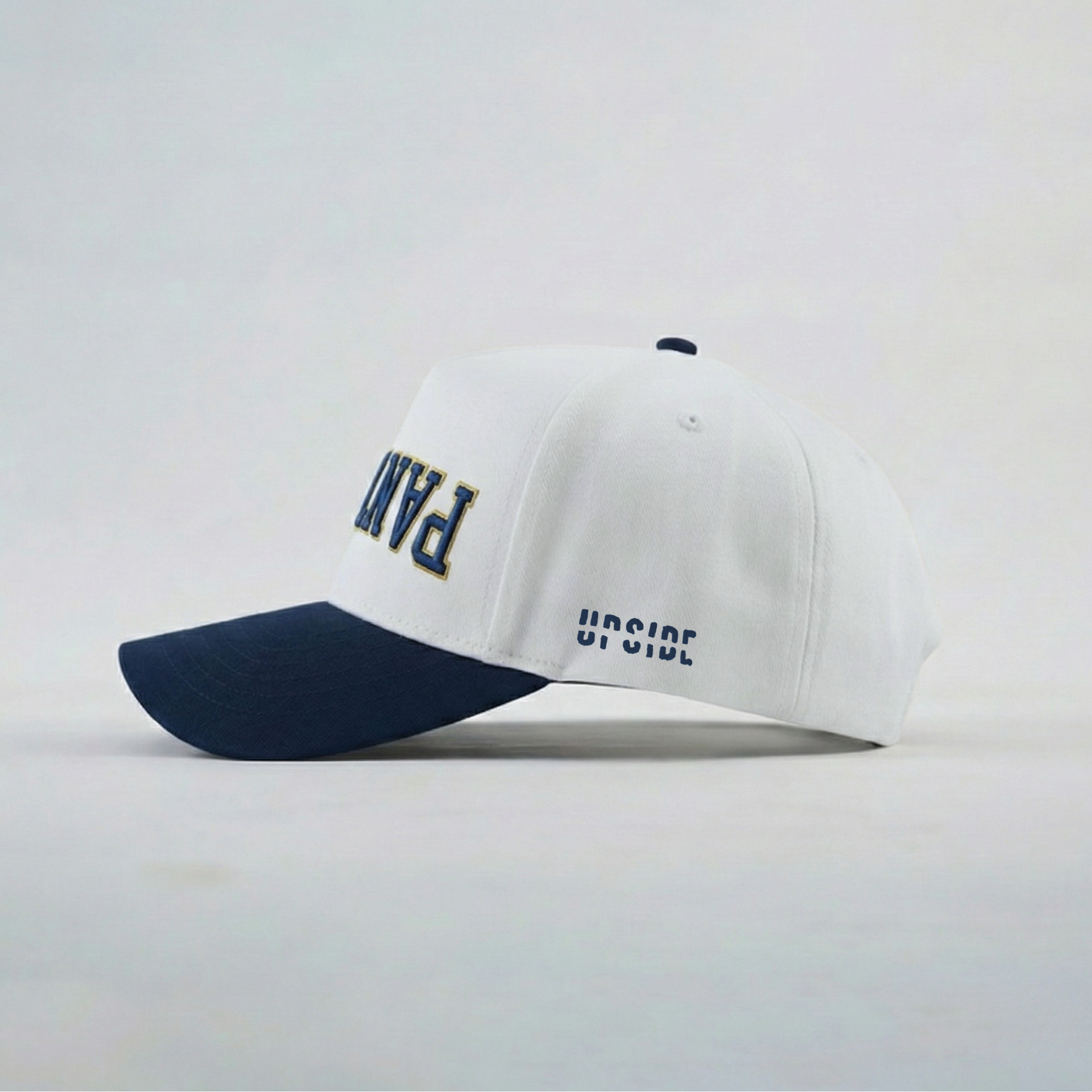 FIU Panthers Hat 3