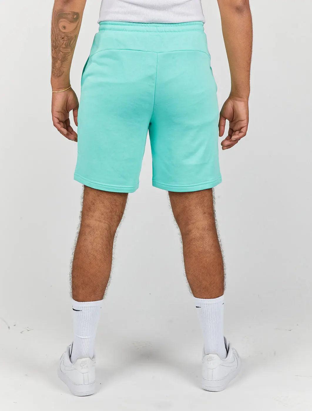 Puma Mercedes-Amg Petronas Essentials Shorts 2