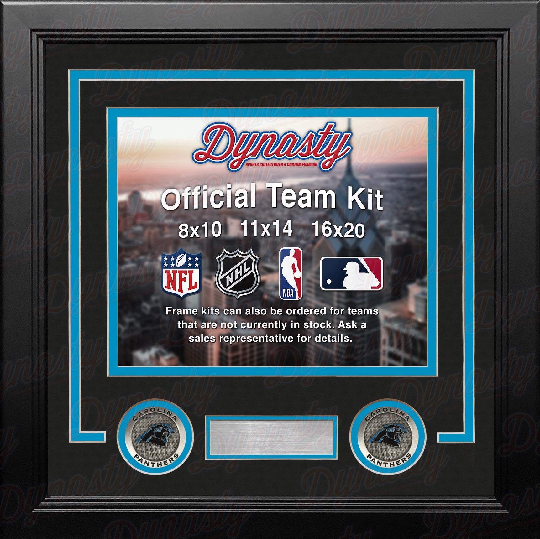 Carolina Panthers Custom NFL Football 8x10 Picture Frame Kit (Multiple Colors) 1