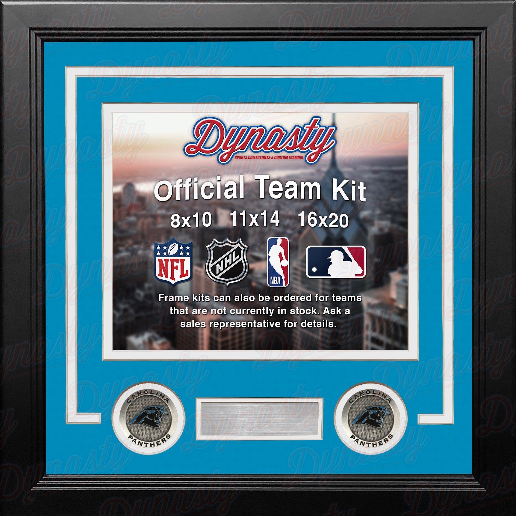 Carolina Panthers Custom NFL Football 8x10 Picture Frame Kit (Multiple Colors) 2