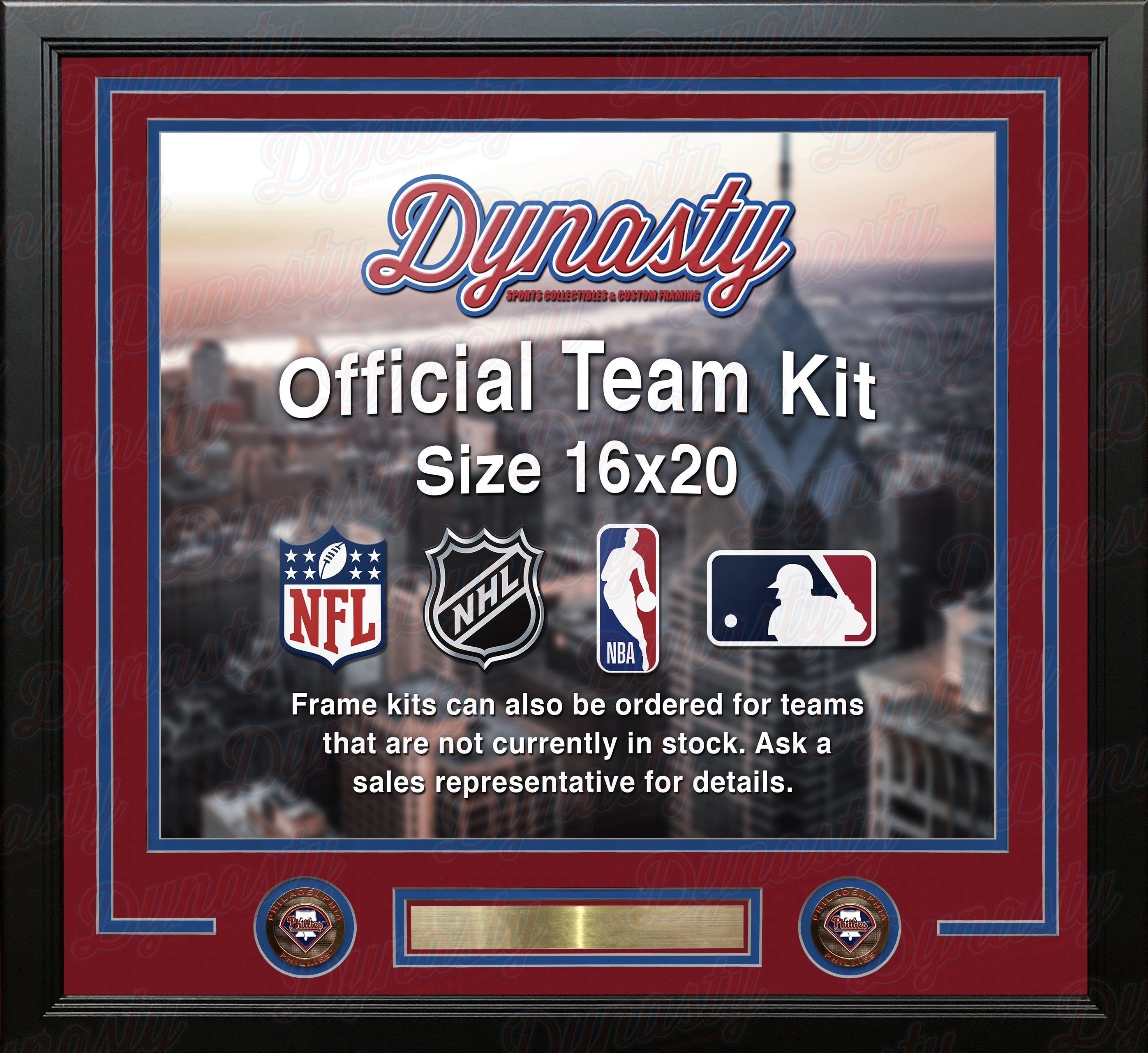 Philadelphia Phillies Custom MLB Baseball 16x20 Picture Frame Kit (Multiple Colors)