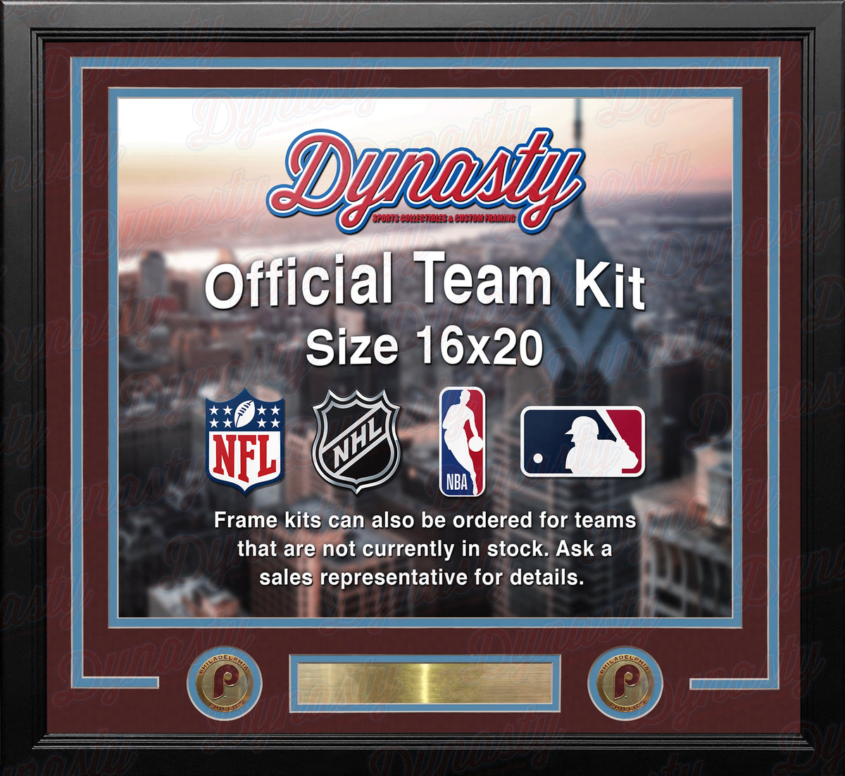 Philadelphia Phillies Throwback Custom MLB Baseball 16x20 Picture Frame Kit (Multiple Colors)