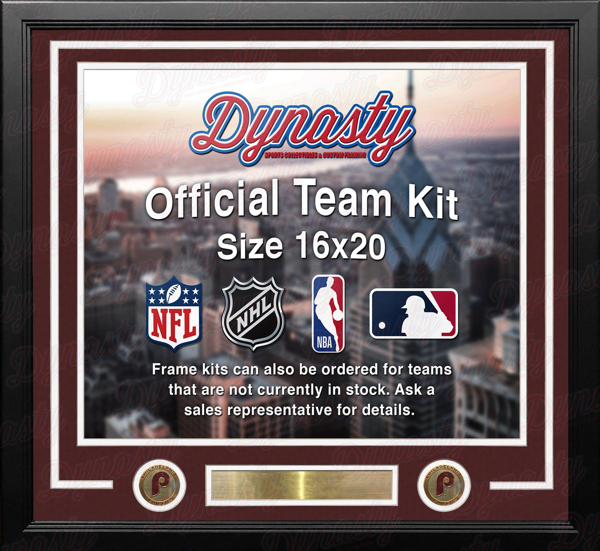 Philadelphia Phillies Throwback Custom MLB Baseball 16x20 Picture Frame Kit (Multiple Colors)