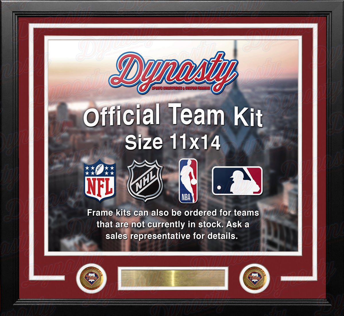 Philadelphia Phillies Custom MLB Baseball 11x14 Picture Frame Kit (Multiple Colors)