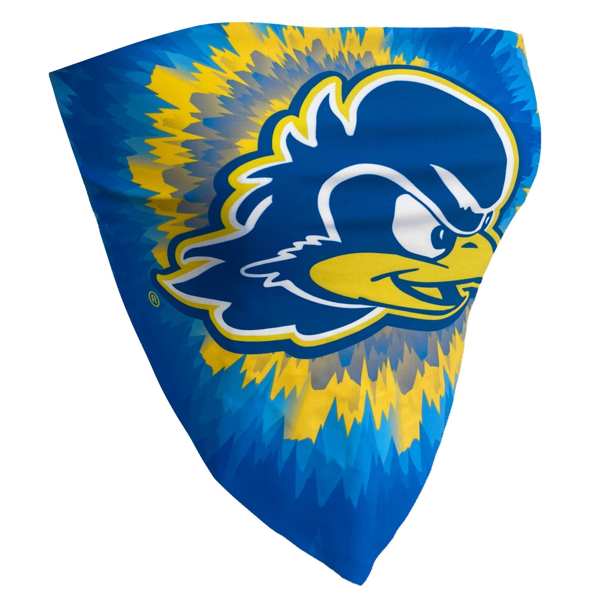 Delaware Tie Dye Bandana Top | lojobands 6