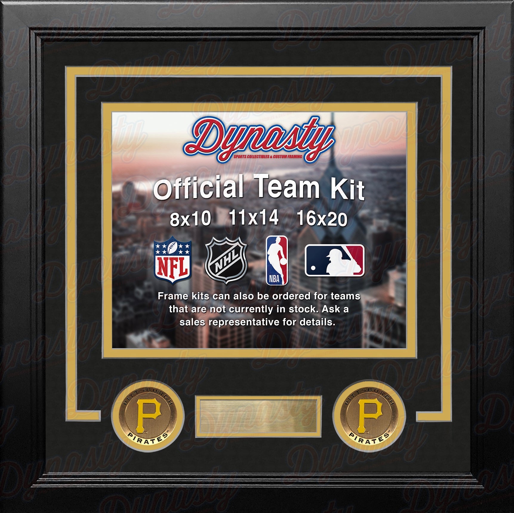 Pittsburgh Pirates Custom MLB Baseball 16x20 Picture Frame Kit (Multiple Colors) 1