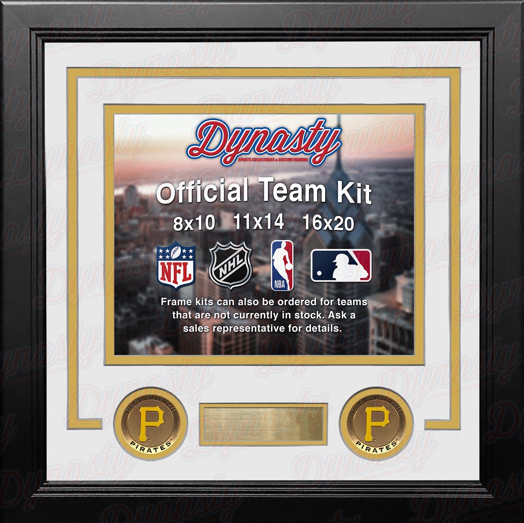 Pittsburgh Pirates Custom MLB Baseball 16x20 Picture Frame Kit (Multiple Colors) 2