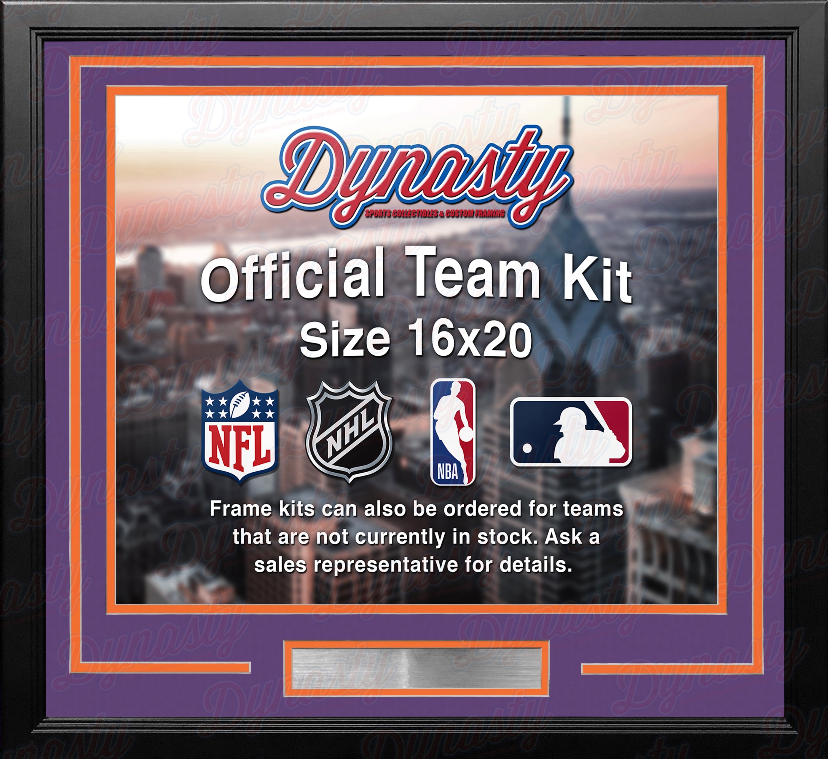 Phoenix Suns Custom NBA Basketball 16x20 Picture Frame Kit (Multiple Colors) 1