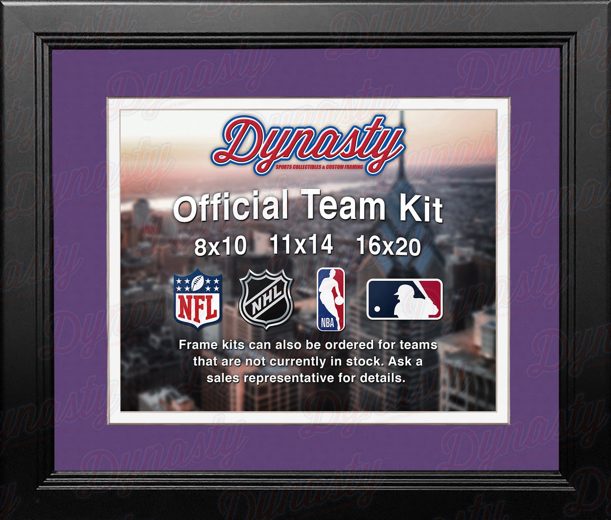 NBA Basketball Photo Picture Frame Kit - Sacramento Kings (Purple Matting, White Trim)