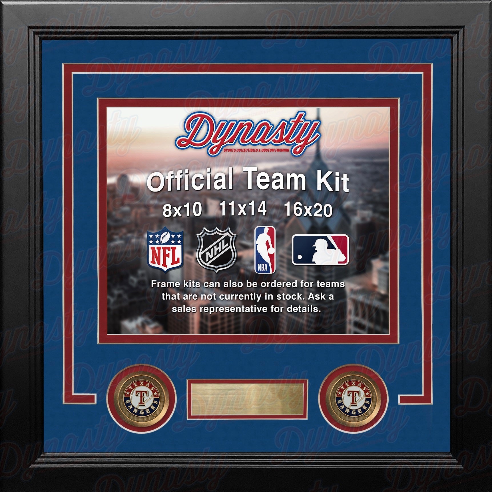 Texas Rangers Custom MLB Baseball 16x20 Picture Frame Kit (Multiple Colors)