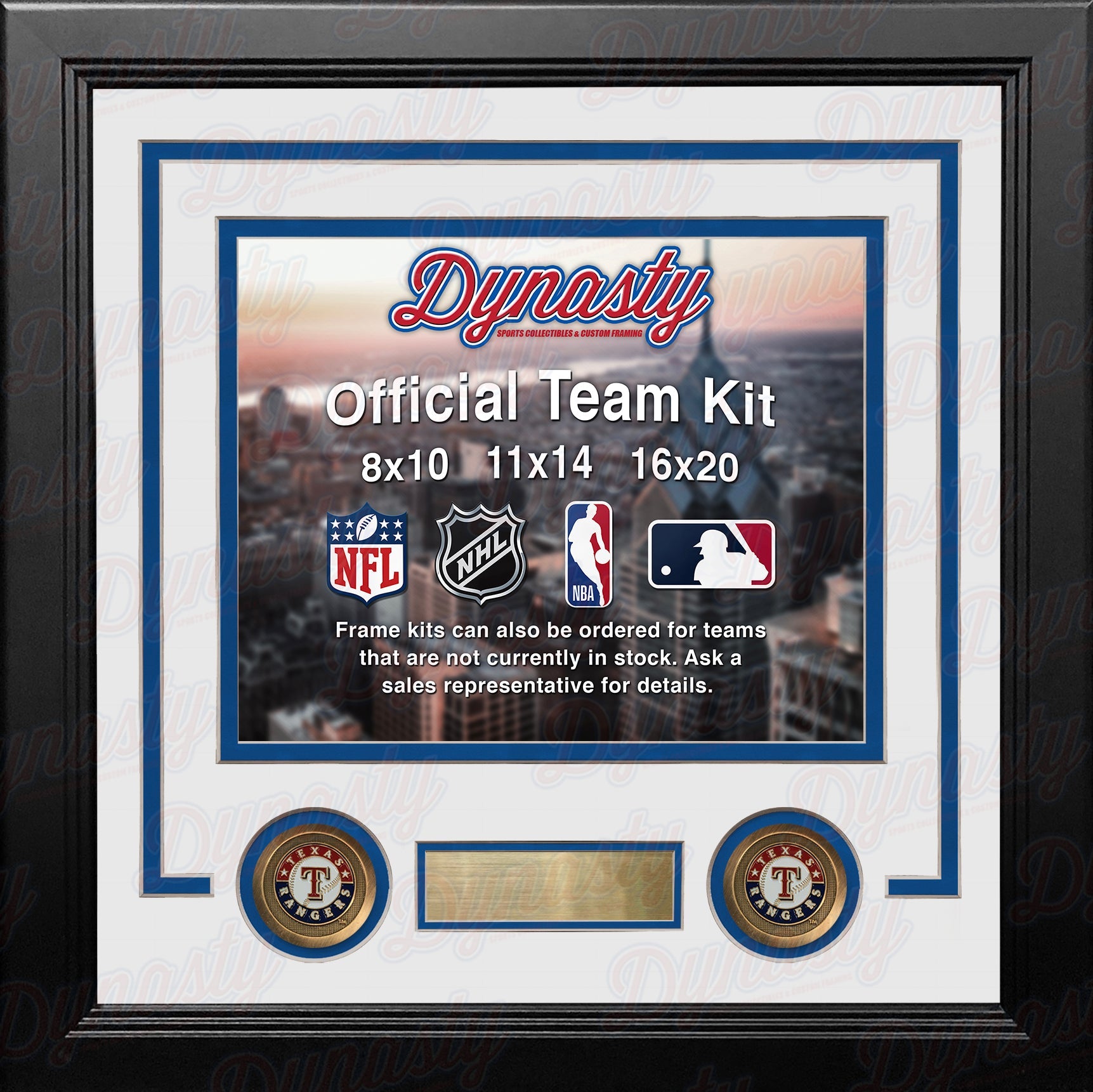 Texas Rangers Custom MLB Baseball 16x20 Picture Frame Kit (Multiple Colors)