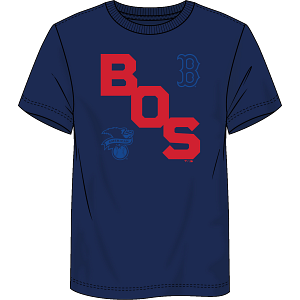 Boston Red Sox Fundamentals Record Shattered T-Shirt - Navy 1