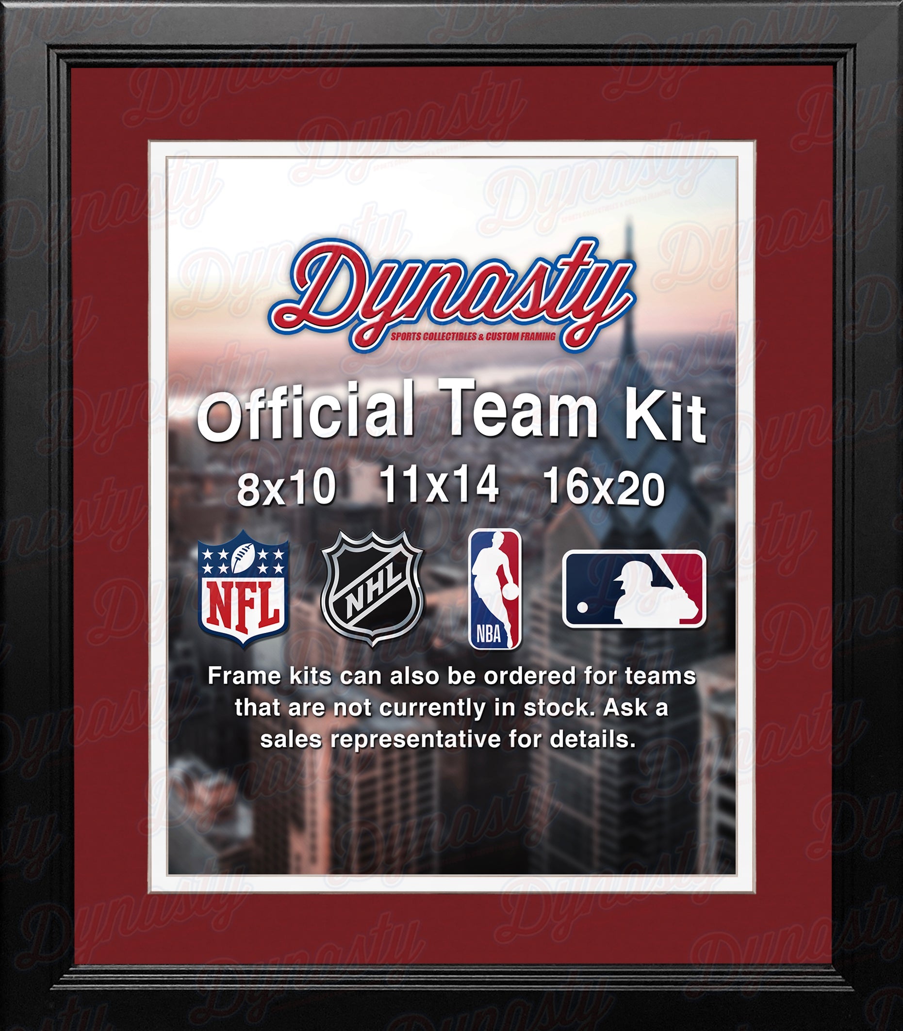 NHL Hockey Photo Picture Frame Kit - Detroit Red Wings (Red Matting, White Trim)