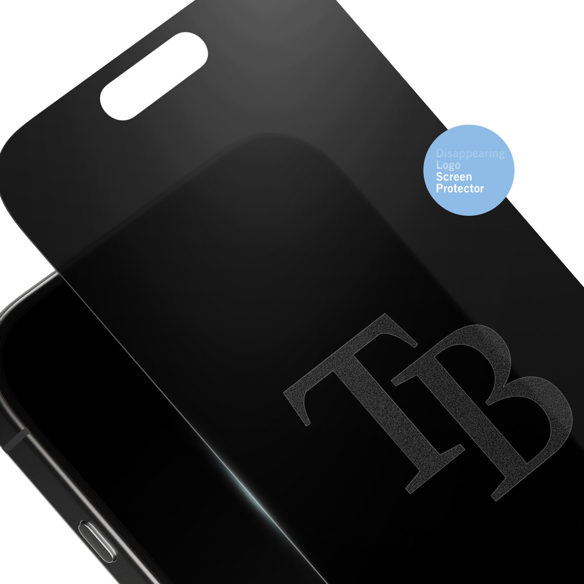 Tampa Bay Rays Privacy Screen Protector 2