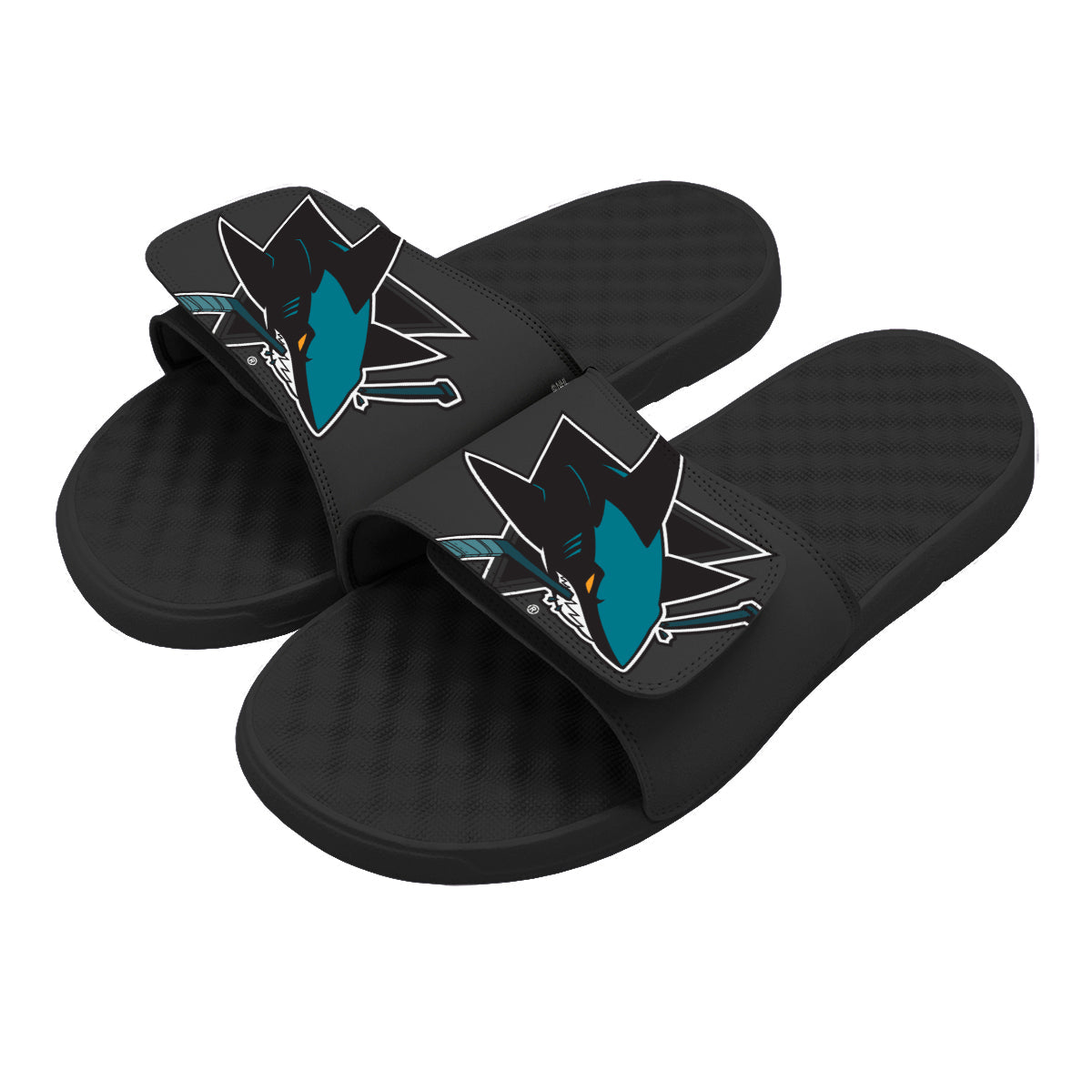 San Jose Sharks Blown Up Slides