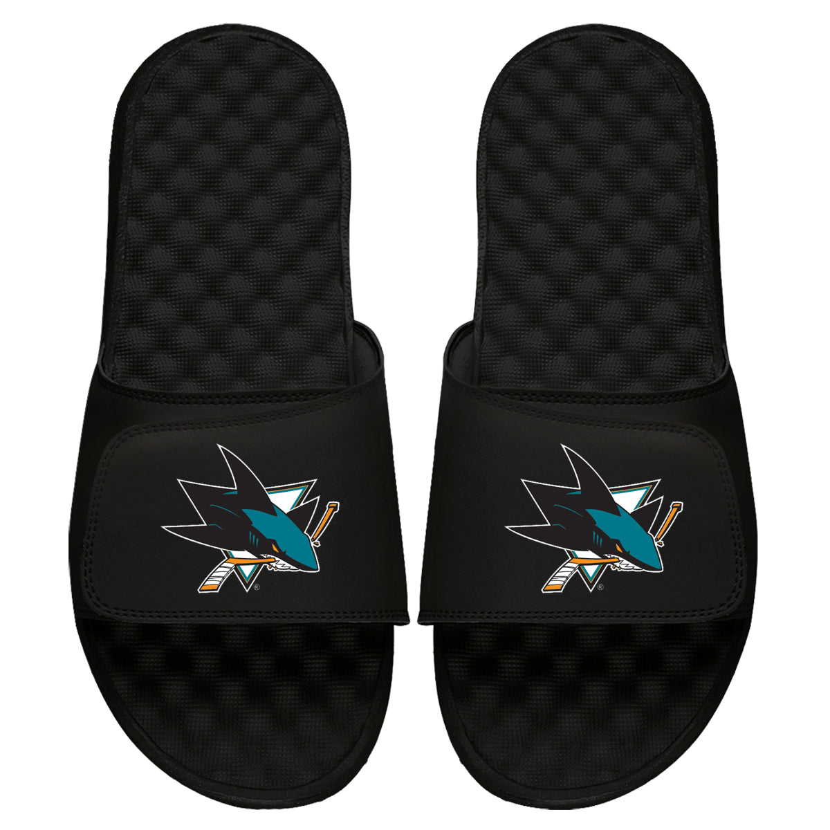 San Jose Sharks Primary Slides 4