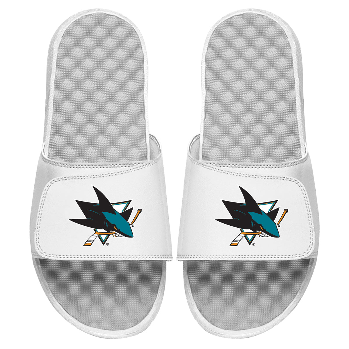 San Jose Sharks Primary Slides 3